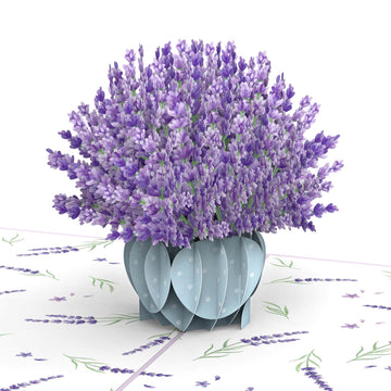 Lavender Pop-Up Card